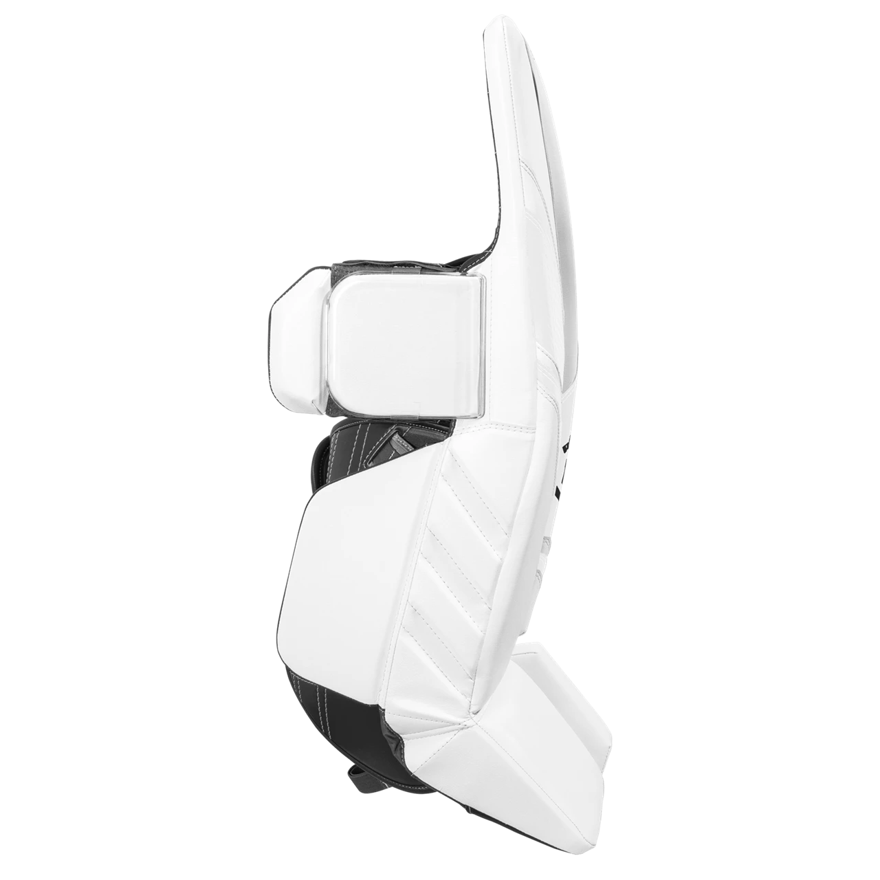 WARRIOR TW-Schiene RITUAL G6E+ Junior 6 WARRIOR TW-Schiene RITUAL G6E+ Junior – Bild 4